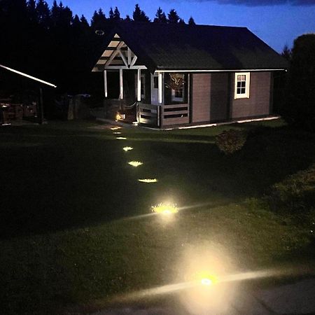 Haeuslein-Waldesruh Villa Muldenberg Eksteriør bilde